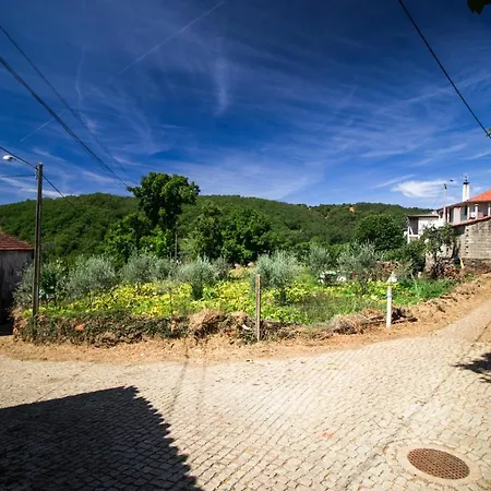 بيت خشبي Casa Do Didi فينهيس